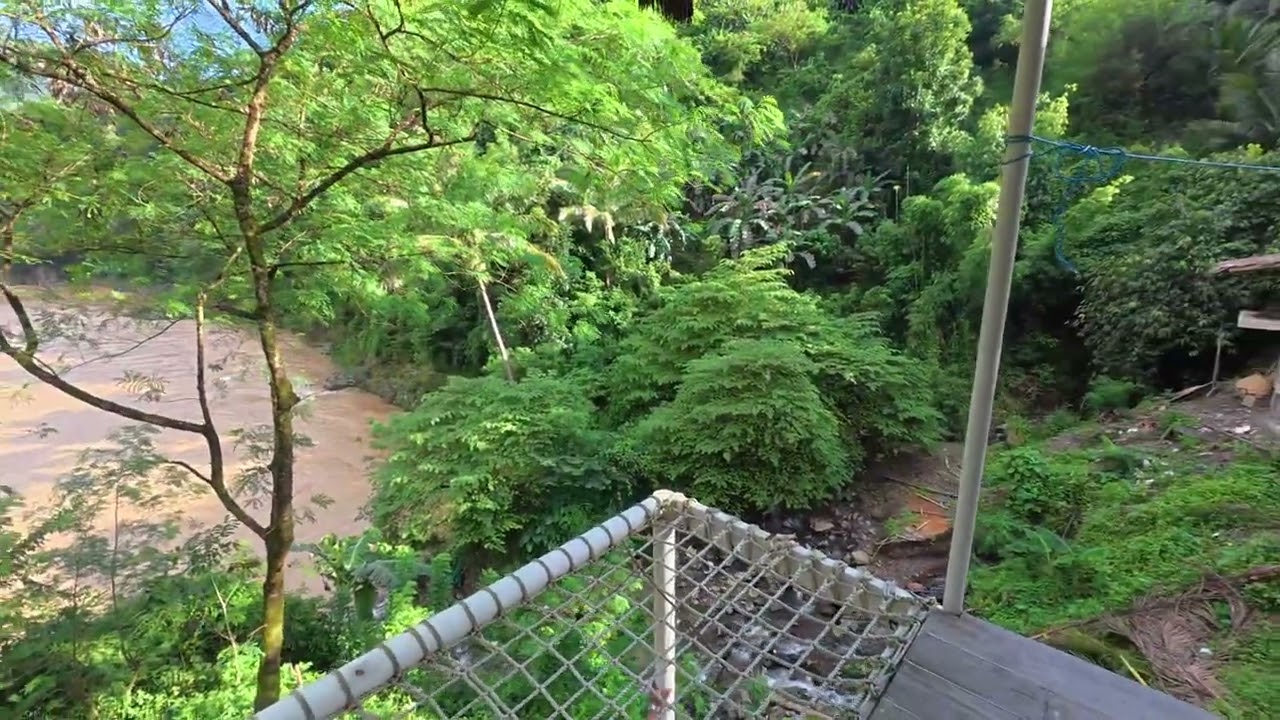 Bali House — forest and river view